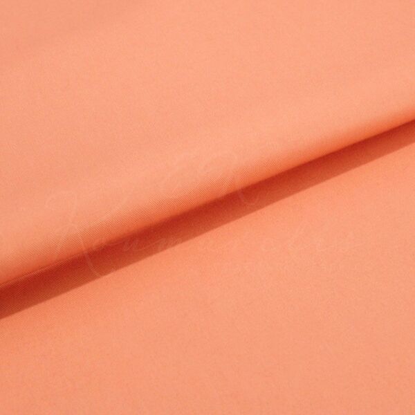 Καπαρντίνα Σταθερή