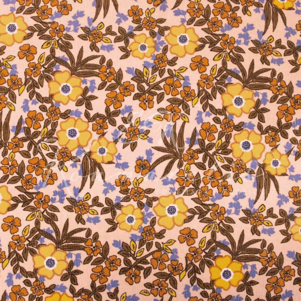 Κοτλέ Χιλιόριγο - Πρίμουλα - 1