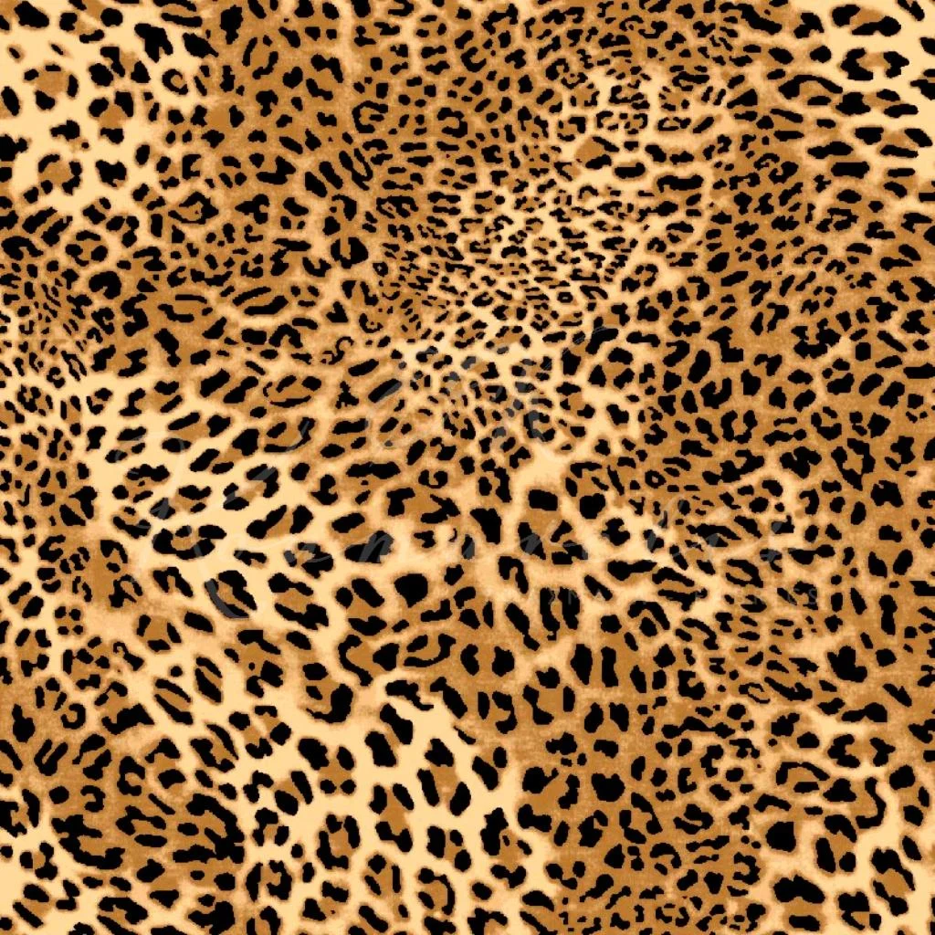 Λονέτα - Animal Print - 1