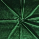 Dark Green Velvet - 1