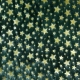 Faux Fur Gold Stars - Dark Green