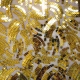 Organza Fabric with Wavy Sequin Design – Gold