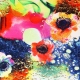 Lycra - Multicolored Floral Border