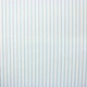 Gabardine - Mint Green Stripe - 1