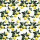 Microfiber - Lemons - 1